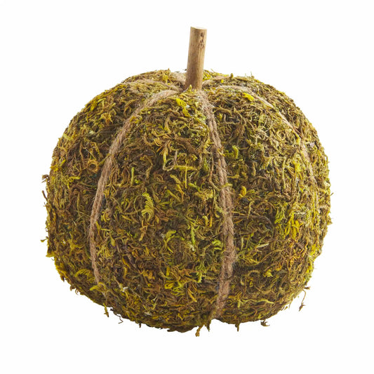 Preserved Moss Pumpkin