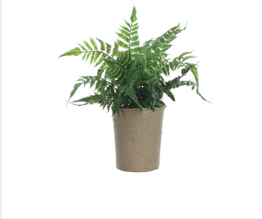Faux Fern In Paper